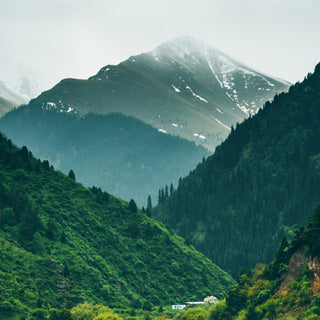 The Peaks