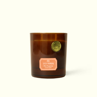 Candle, 1929 Pomona